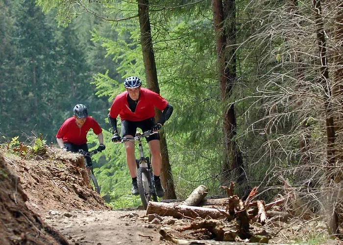 Levisham Dom wakacyjny